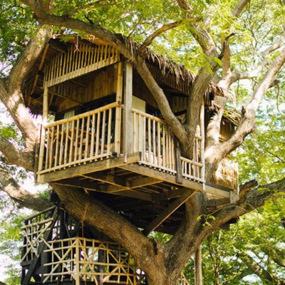 Stilts Calatagan Beach Resort’s Serenitree & Eternitree Tree Houses (Batangas)